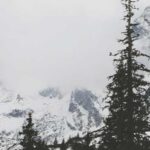 kibris kargo hesaplama adan zye kapsamli rehber