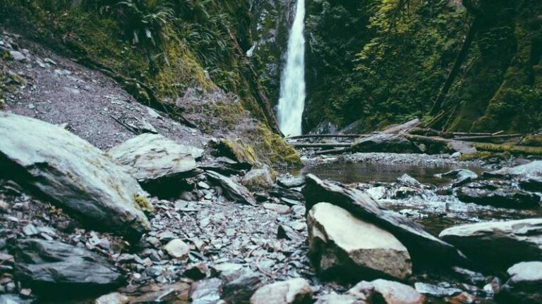 kuzey koreye ups kargo ile dokuman gonderimi kapsamli rehber