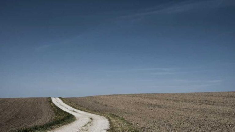 mogolistan ptt yurtdisi kargo fiyatlari 2025 guncel rehberi