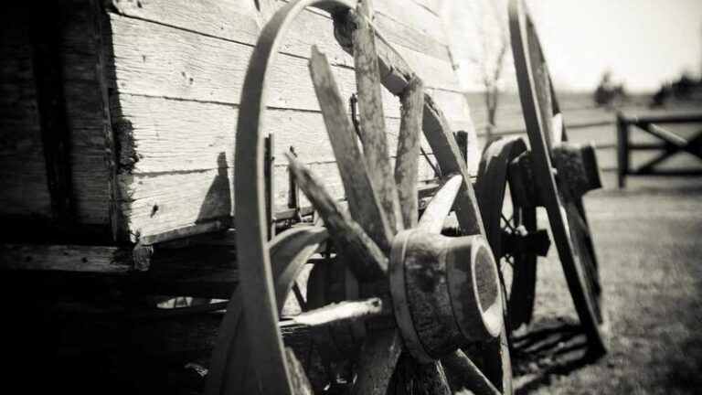 mozambike denizyolu tasima