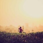 norvec tnt k argo turkiyeden norvece hizli ve guvenilir kargo rehberi