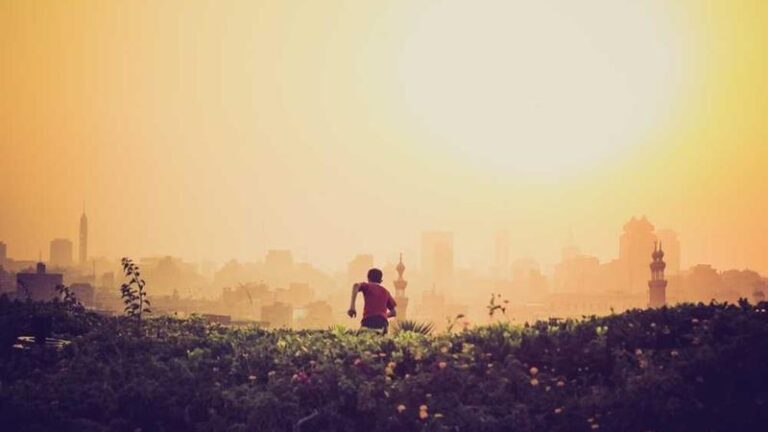 norvec tnt k argo turkiyeden norvece hizli ve guvenilir kargo rehberi