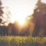 san marino ekspress kargo kapsamli lojistik rehberi