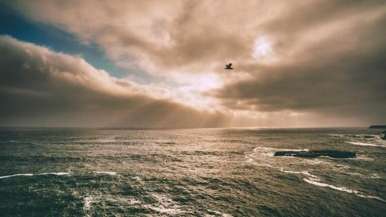 Almanya’ya Kargo Gönderme Rehberi: Uçak Kargo ile Hızlı ve Güvenli Çözümler