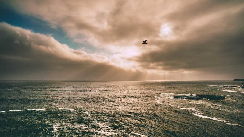 Almanya’ya Kargo Gönderme Rehberi: Uçak Kargo ile Hızlı ve Güvenli Çözümler