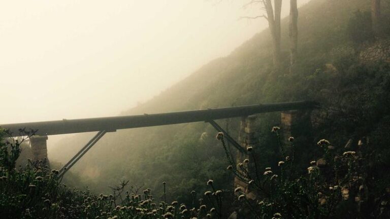 Amerika’dan Kargo Getirme: Uluslararası Lojistikte Güvenli ve Hızlı Adımlar