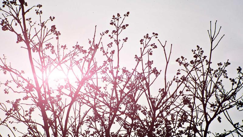 Amerika’ya Evrak Kargo Gönderimi: Hızlı, Güvenli ve Sorunsuz Adımlar