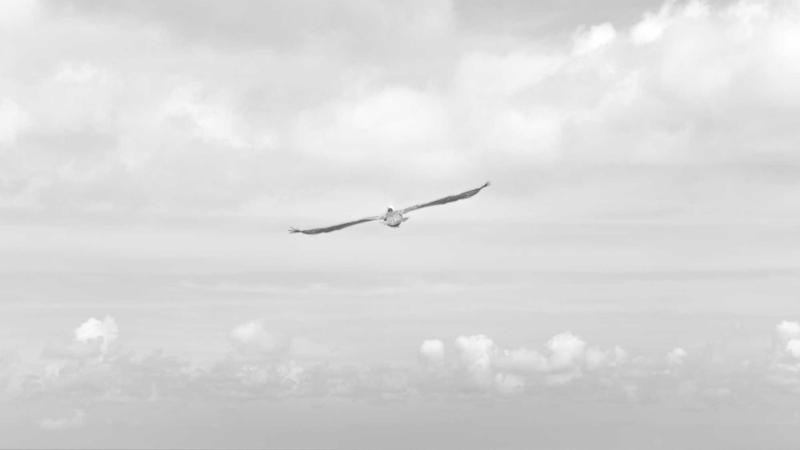 E-İhracatta Hava Kargo: Küresel Pazarlara Hızlı ve Güvenli Erişim Rehberi