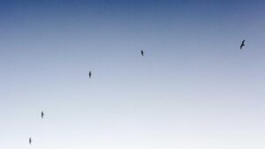 Hava Kargo Depolama Çözümleri: Küresel Ticaretin Kritik Durağı ve Stratejik Avantajları