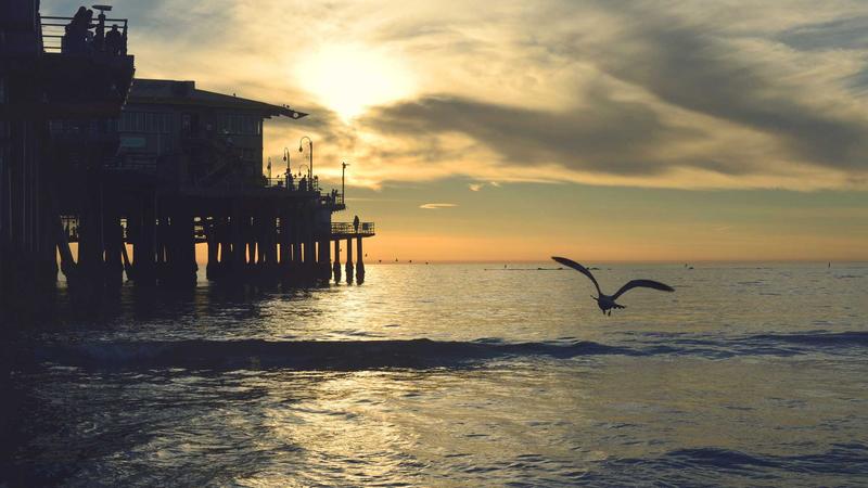 Hava Kargo Gönderimi: Küresel Ticaretin Dinamiklerini Şekillendiren Hızlı Çözüm