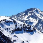 Hava Kargo Navlun: Küresel Ticaretin Hızlandırıcı Gücü ve Detaylı Rehber