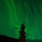 Uçak Kargo Gönderi Planlaması: Küresel Tedarik Zincirlerinde Stratejik Bir Yaklaşım